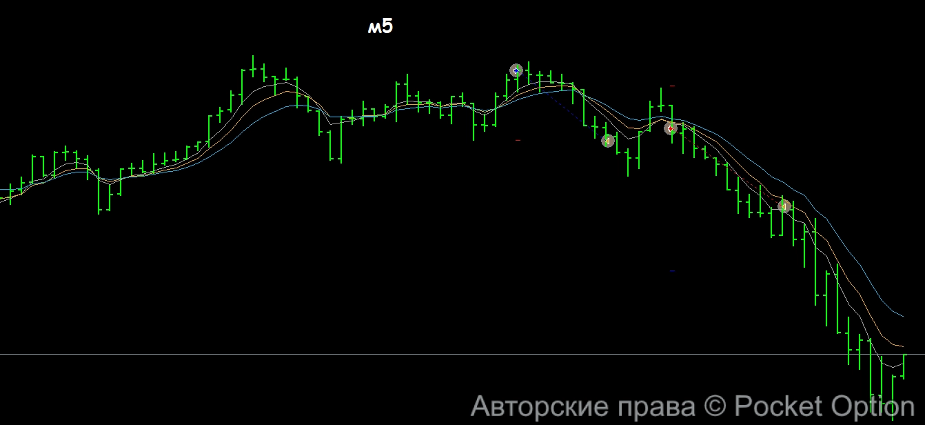 тест м5