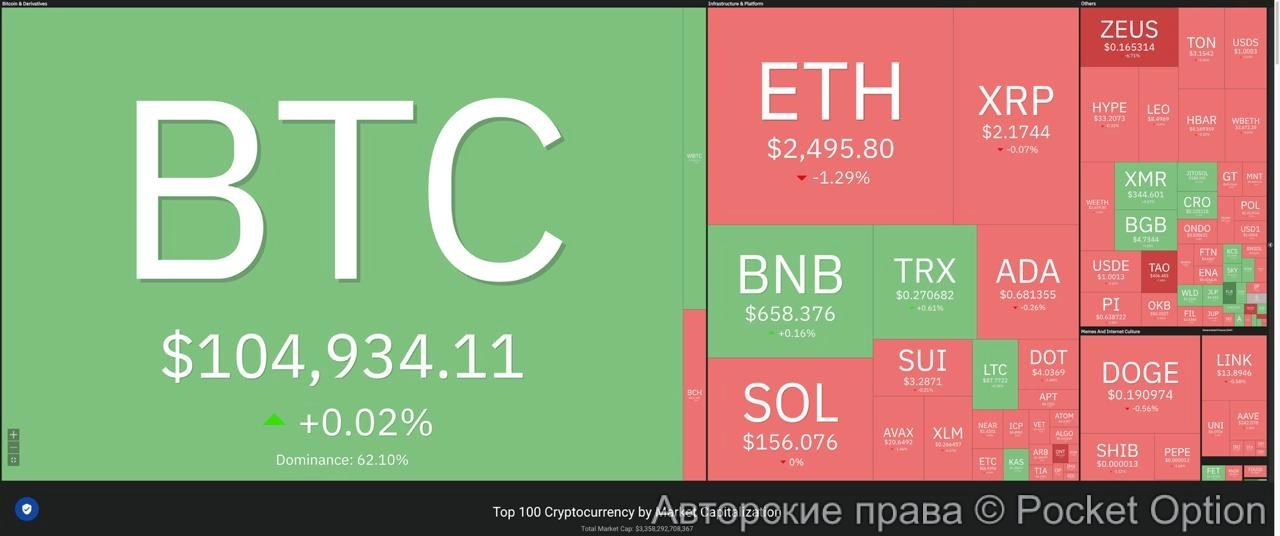 положение