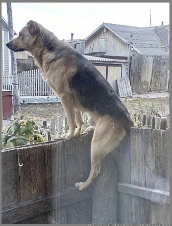 895