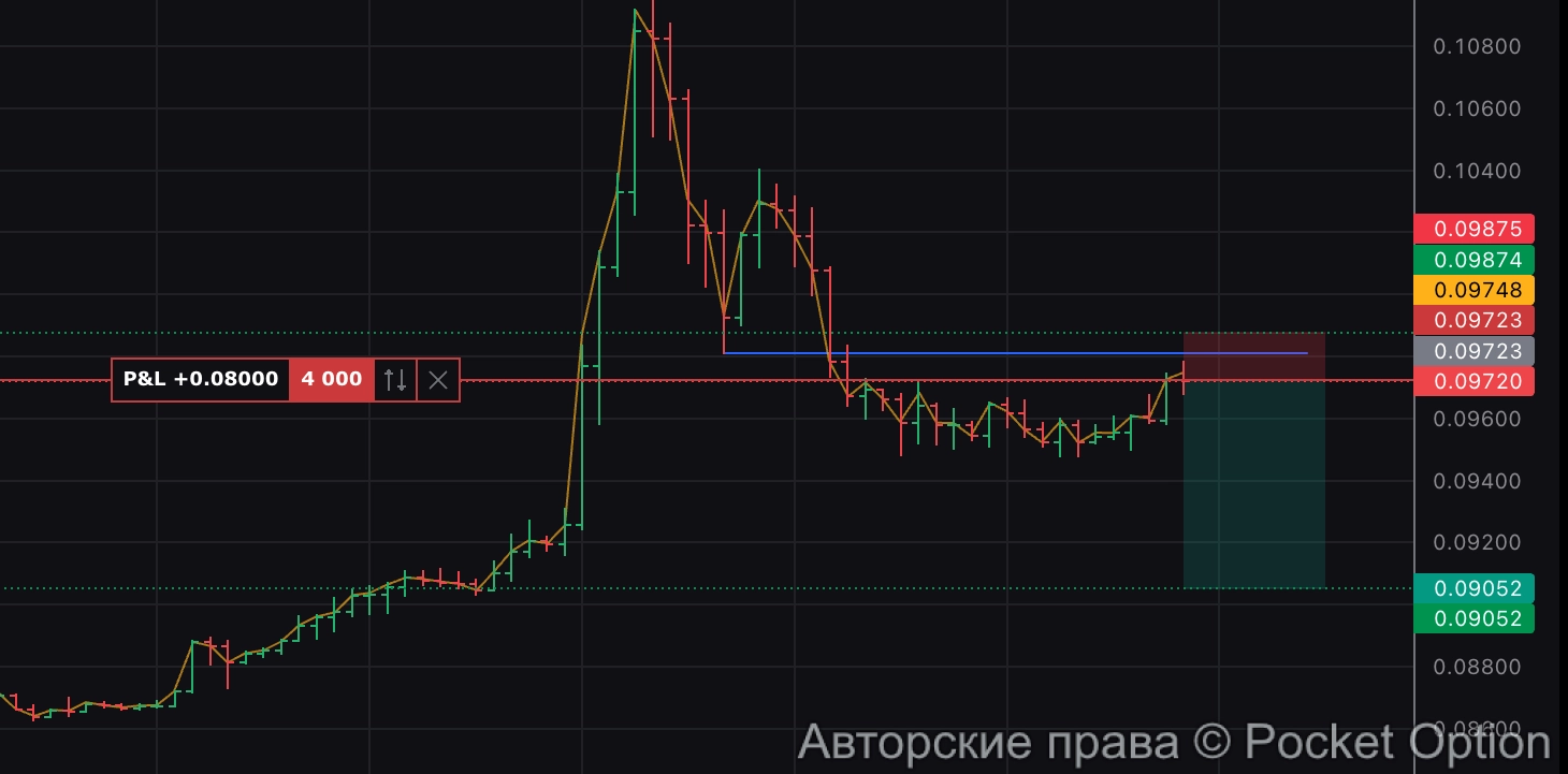 merl шорт
