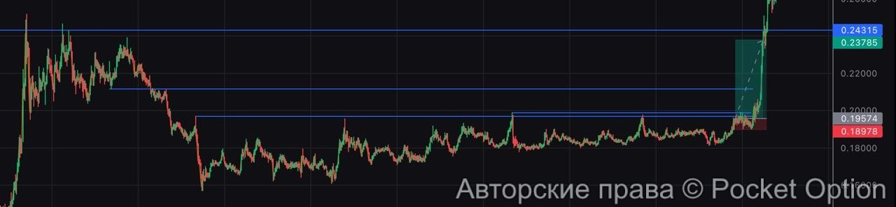 CFX лонг