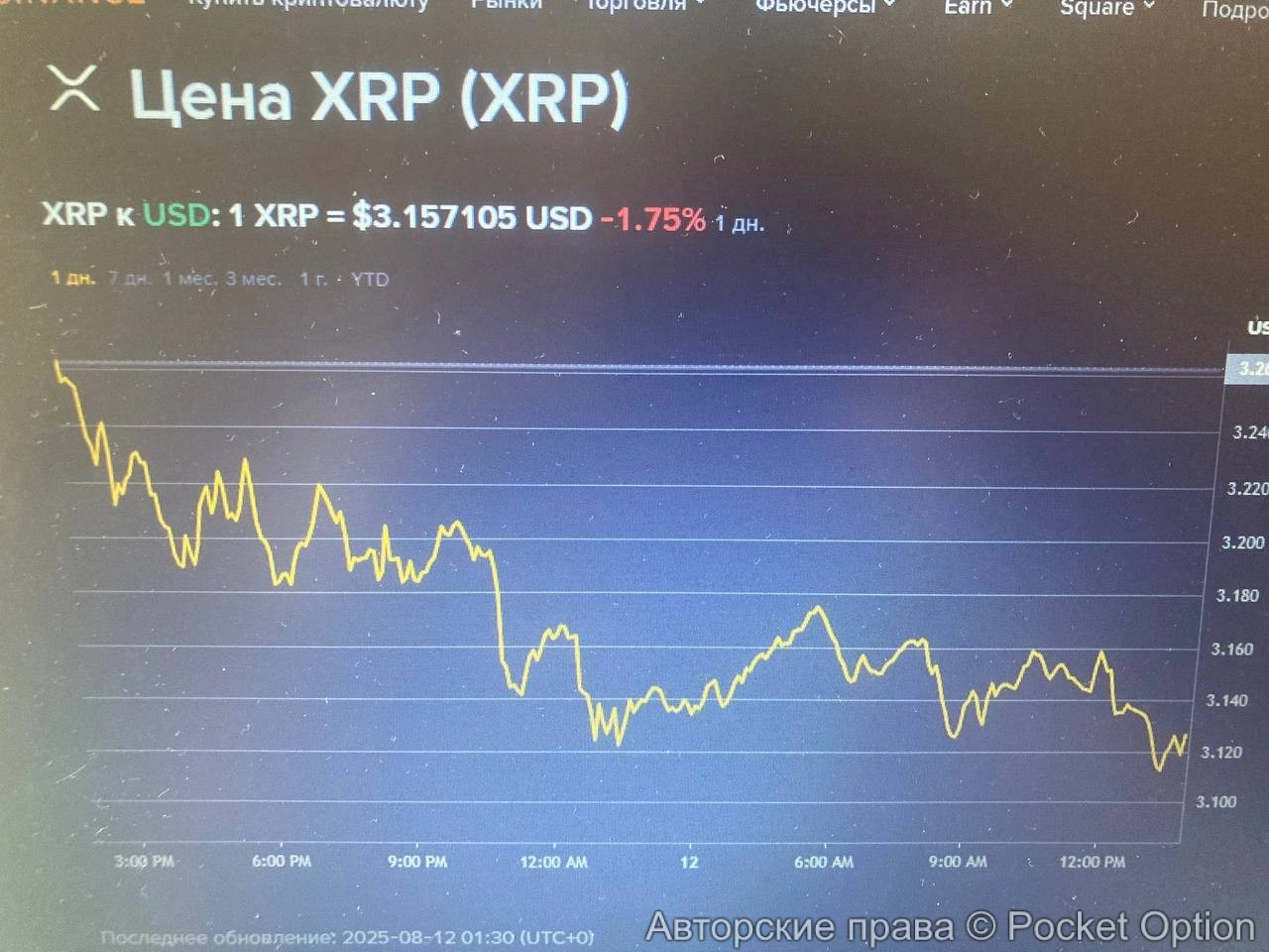 5249052839123219929