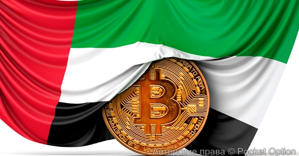 биткоин24