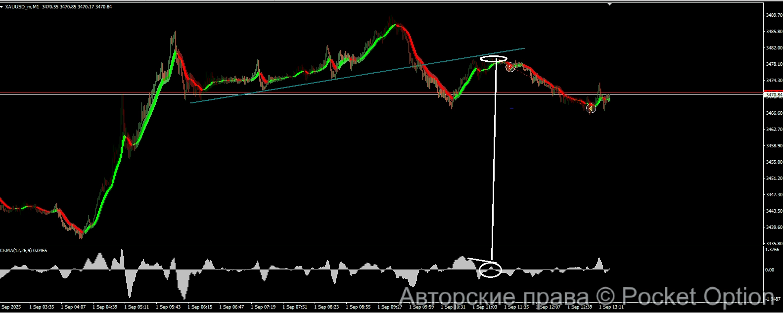дивер