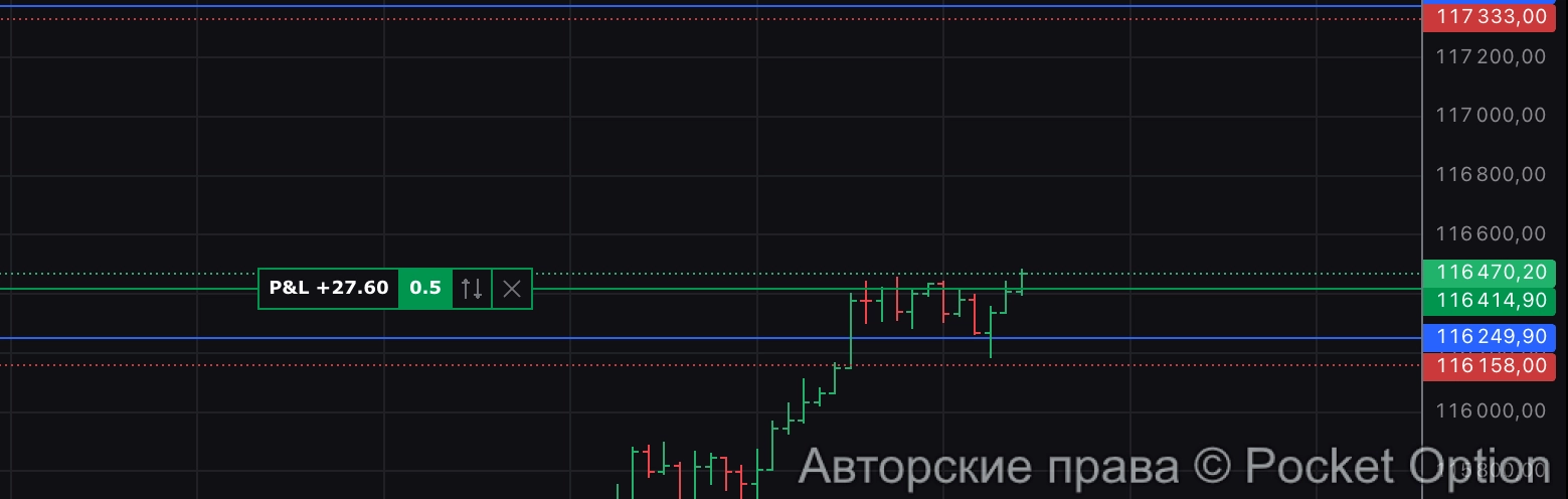 позиция по битку