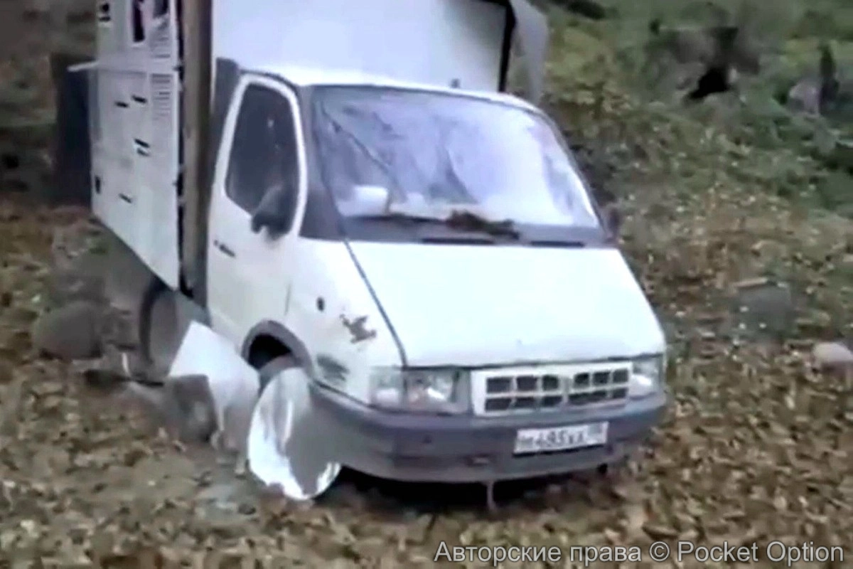 Майнинг газель