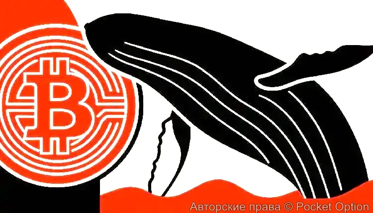 Майнер вывел свои богатства