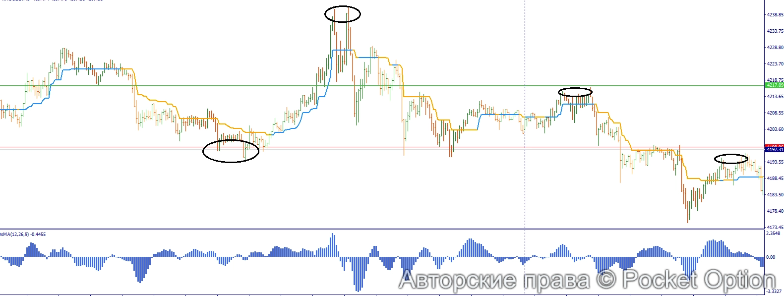 дивера осма