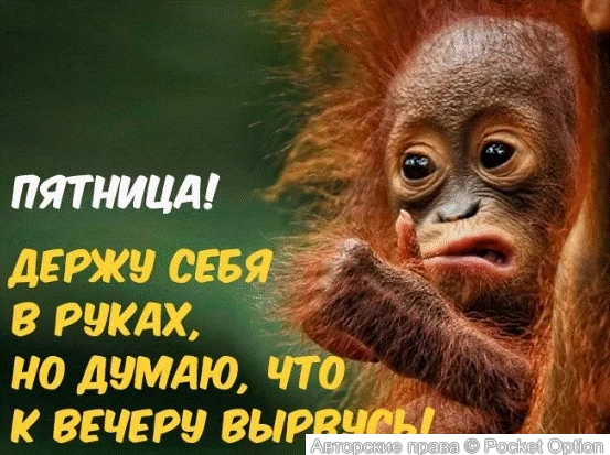 пятница