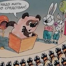 Жизнь по средствам