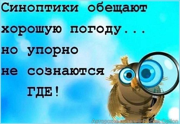 сн43